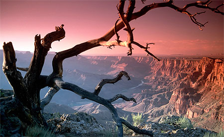 grand canyon