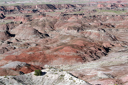 Vue sur painted desert