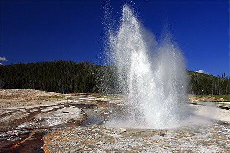 Plume geyser