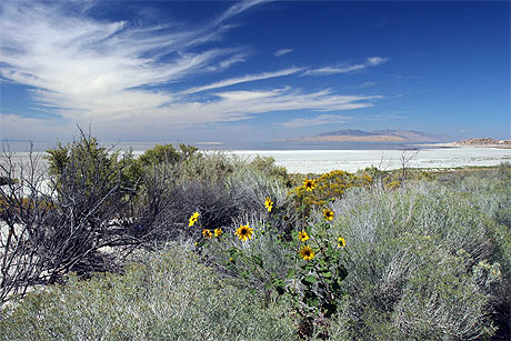 Antelope island