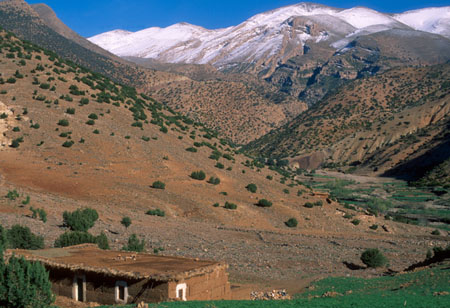 Neige sur les sommets de l'Atlas