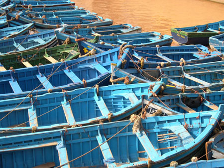 bleu d'essaouira, dans le port 