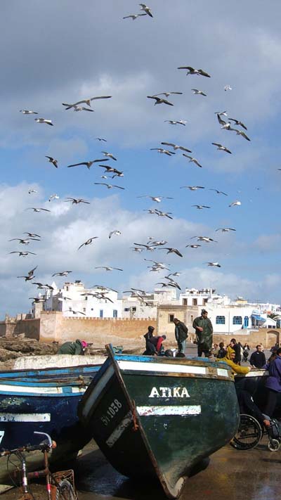 Essaouira, retour de p�che