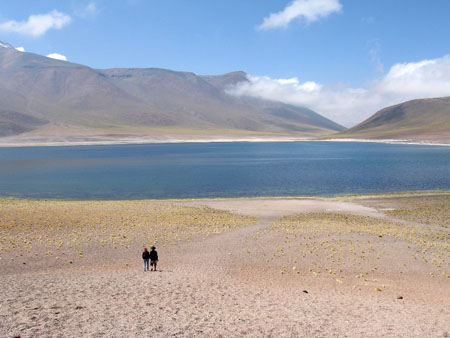 Lagune altiplanique Miniques