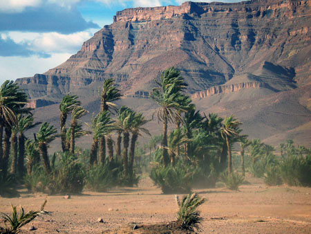 Tempete de sable