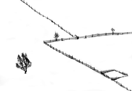 Graphique