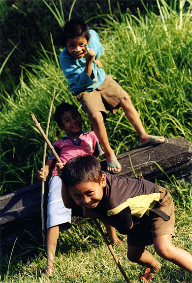 Enfants qui jouent dans les rizi�res