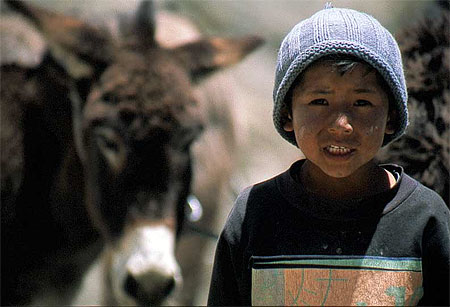 Bolivie, gar�on et son �ne