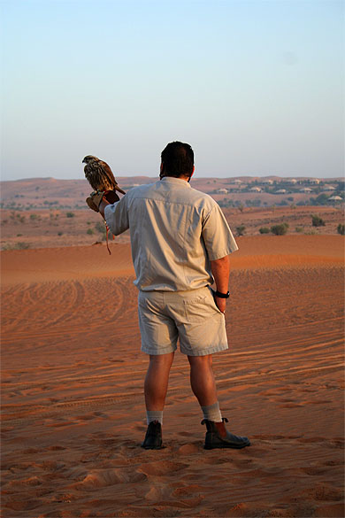 Chasse au faucon