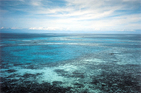 Bleu, bleue, bleus, bleues...