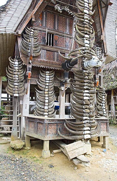 Maisons Toraja
