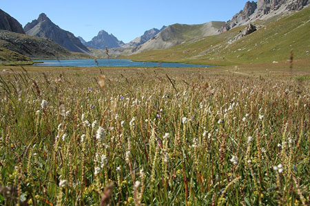 Vall�e