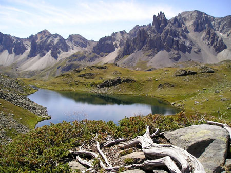 lac long 