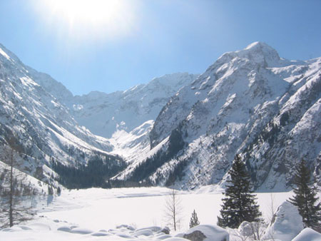 pur paysage