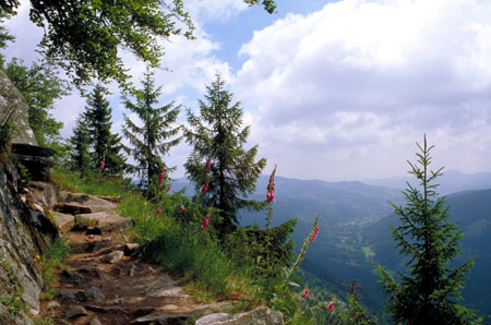 sentier des roches