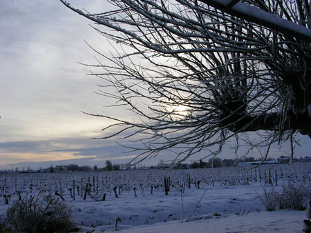Inattendue