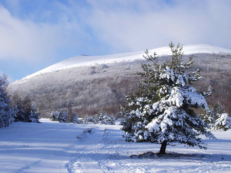 Au pied du Puy de Pariou