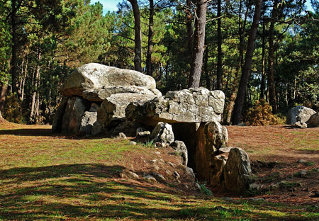 Dolmen dans la for�t