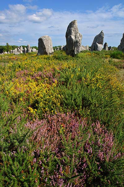 Menhirs de Carnac