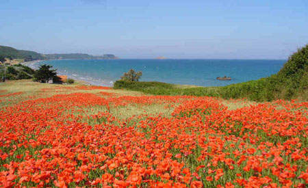 la plage de st pabu