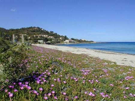 Plage de Tarco