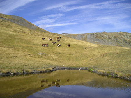 LAC DE CREVACOL