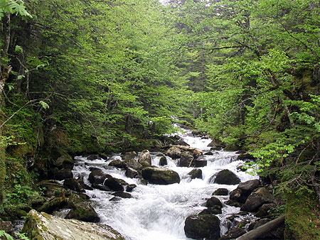 cascade