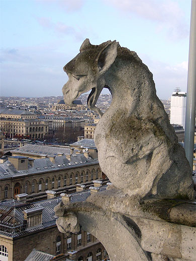 gargouille