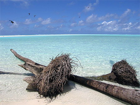 plage de T�tiaroa