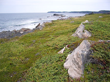 Bonavista Bay