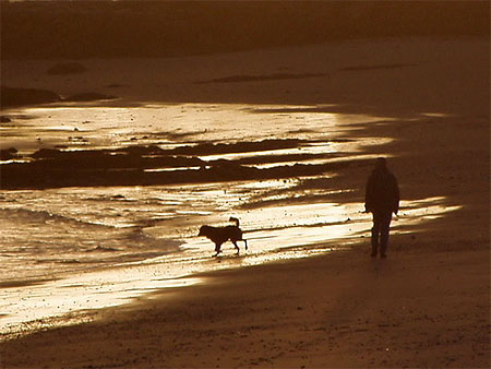Ballade sur la plage de Vill�s Martin