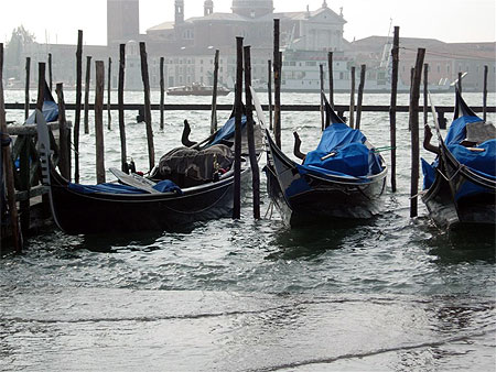 Venise, la mont�e des eaux