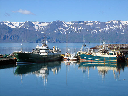 Le port d'H�savik