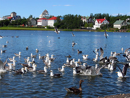 Lac Tj�rnin � Reykjavik