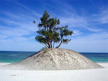 paysage