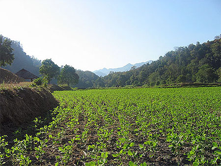 r�gion de Mae hong son