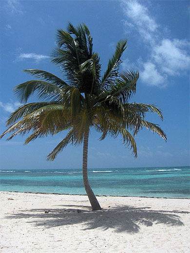 Plage Saona 