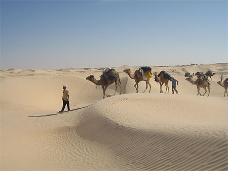 randonn�e dans le d�sert tunisien