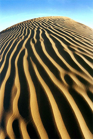 dune tigr�e