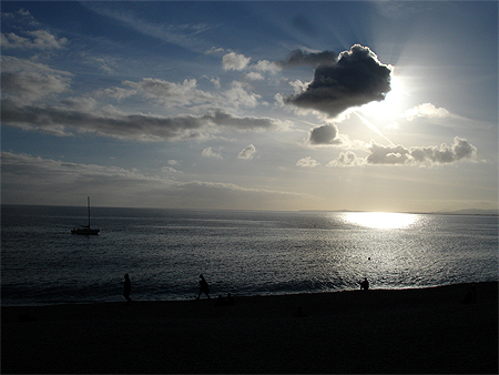 contre-jour de janvier