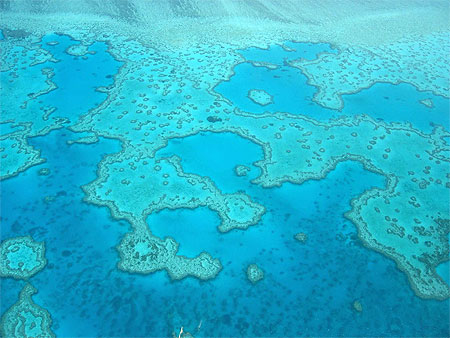 great reef barrier