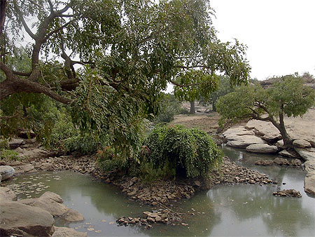Cultures en pays Dogon