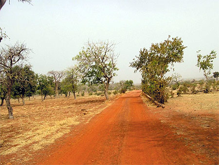 Sur la route de Bandiagara