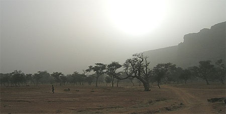 fin de journ�e au pied de la falaise de Bandiagara
