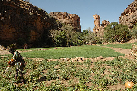 Jardin du paradis