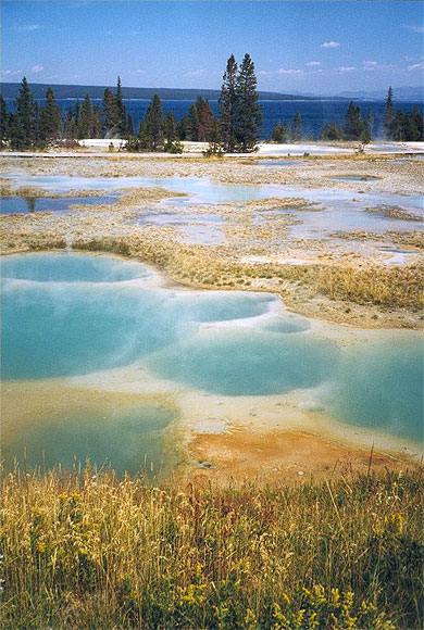 Geiser basin et Yellowstone Lake
