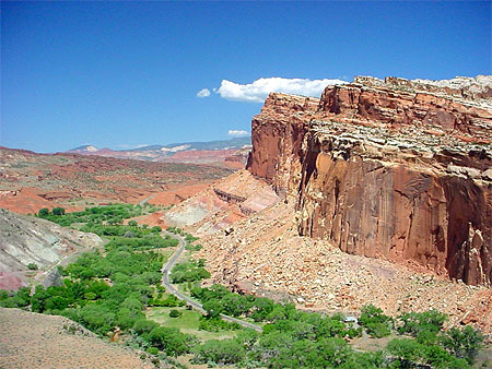 cohab canyon