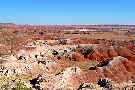 painted desert