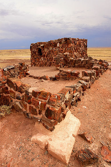 petrified forest: agathe house