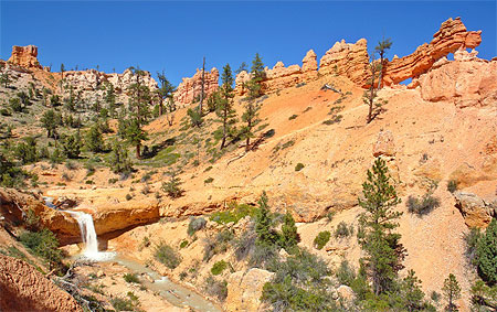 mossy cave